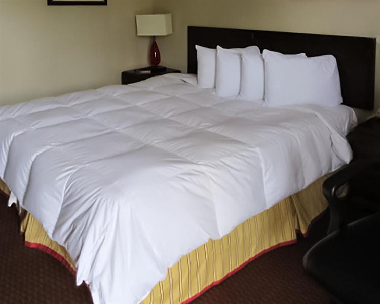 Red Roof Inn Florence, Sc エクステリア 写真